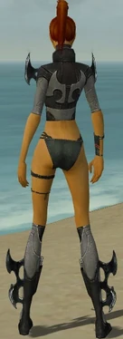 Assassin Kurzick Armor F gray chest feet back