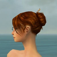 Spectacles F gray side