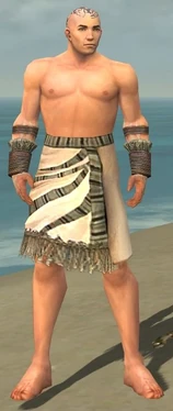 Monk Istani Armor M gray arms legs front