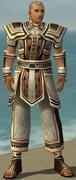Monk Monument Armor M gray front