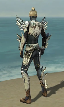 Assassin Asuran Armor M dyed back