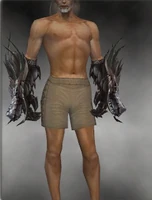 Dragon Gauntlets M gray front