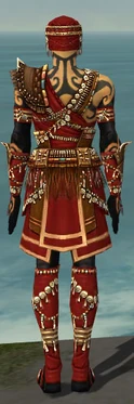 Ritualist Imperial Armor M dyed back