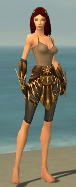 Ranger Elite Sunspear Armor F gray arms legs front