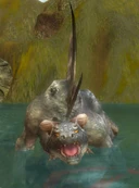RiverDrake