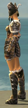 Warrior Norn Armor F dyed side