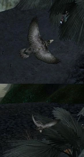 Crow | GuildWars Wiki | Fandom