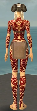 Monk Dragon Armor F dyed back