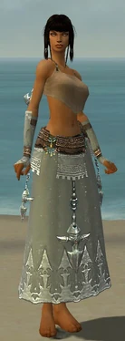 Dervish Vabbian Armor F gray arms legs front