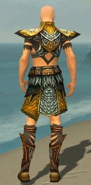 Ritualist Deldrimor Armor M dyed back