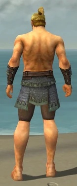 Warrior Tyrian Armor M gray arms legs back