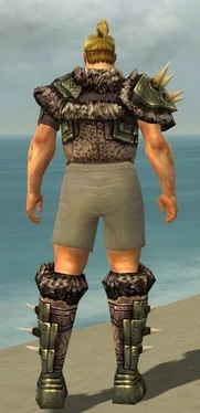 Warrior Elite Charr Hide Armor M gray chest feet back