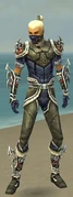 Assassin Norn Armor M gray front