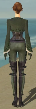 Mesmer Rogue Armor F gray back