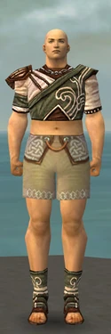 Monk Canthan Armor M gray chest feet front