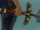 Spatha