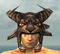Warrior Charr Hide Armor M gray head front