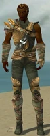 Ranger Tyrian Armor M gray front