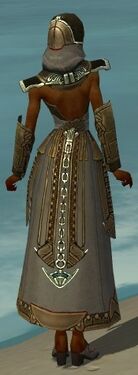 Dervish Asuran Armor F gray back