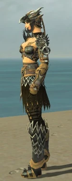 Warrior Silver Eagle Armor F dyed side