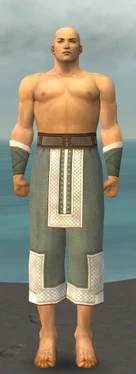 Monk Krytan Armor M gray arms legs front