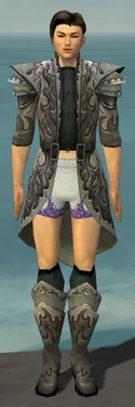 Elementalist Flameforged Armor M gray chest feet front