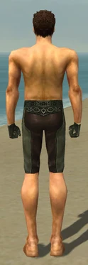 Mesmer Istani Armor M gray arms legs back