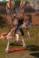 NtoukaBird