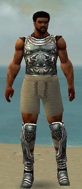 Warrior Istani Armor M gray chest feet front