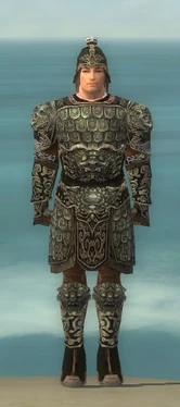 Warrior Canthan Armor M gray front