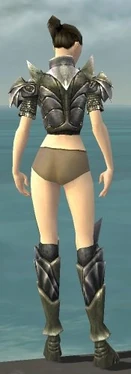 Warrior Templar Armor F gray chest feet back