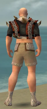 Monk Primeval Armor M gray chest feet back