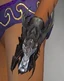 Mesmer Dragon Gauntlets F
