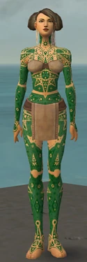 Monk Star Armor F dyed front