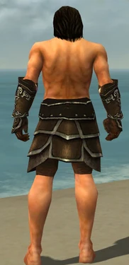 Warrior Shing Jea Armor M gray arms legs back