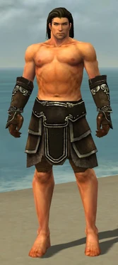 Warrior Shing Jea Armor M gray arms legs front