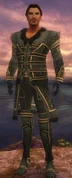 Mesmer Primeval Armor M gray front