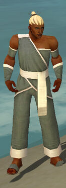 Monk Ascalon Armor M gray front