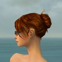 Tinted Spectacles F gray side