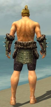 Warrior Elite Charr Hide Armor M gray arms legs back