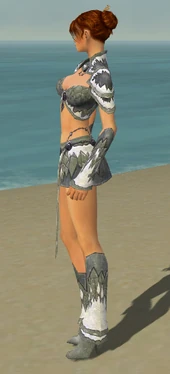 Elementalist Iceforged Armor F gray side