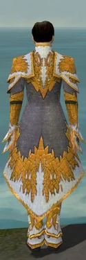 Elementalist Iceforged Armor M dyed back