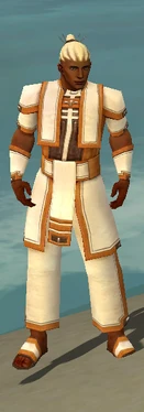 Monk Sacred Armor M dyed front