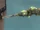 Bone Staff