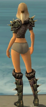 Warrior Elite Charr Hide Armor F gray chest feet back