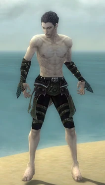 Necromancer Elite Cabal Armor M gray arms legs front