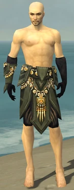 Ritualist Elite Kurzick Armor M gray arms legs front