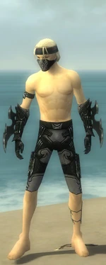 Assassin Kurzick Armor M gray arms legs front