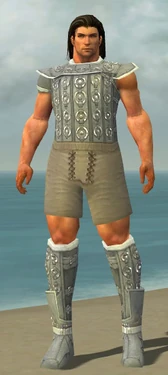 Warrior Ascalon Armor M gray chest feet front