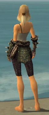 Warrior Elite Charr Hide Armor F gray arms legs back